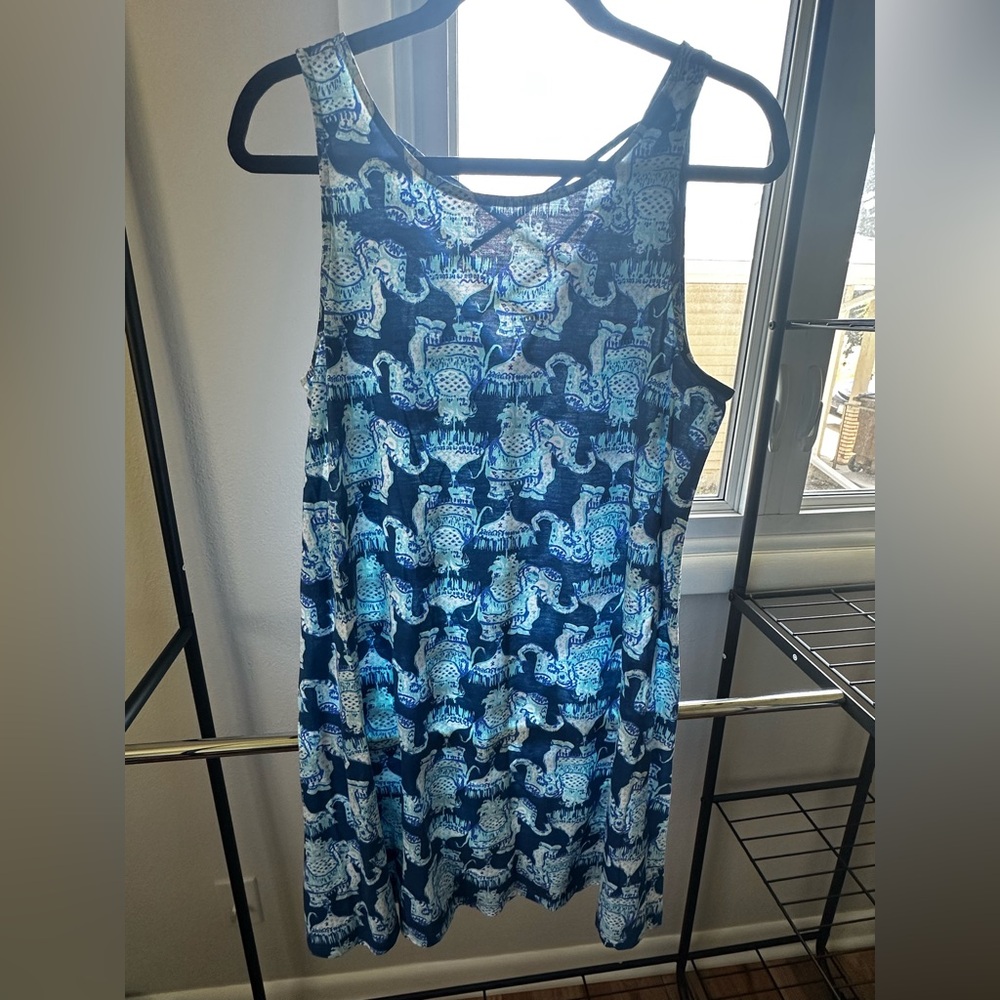 Lilly Pulitzer Blue and White Patterned Dress